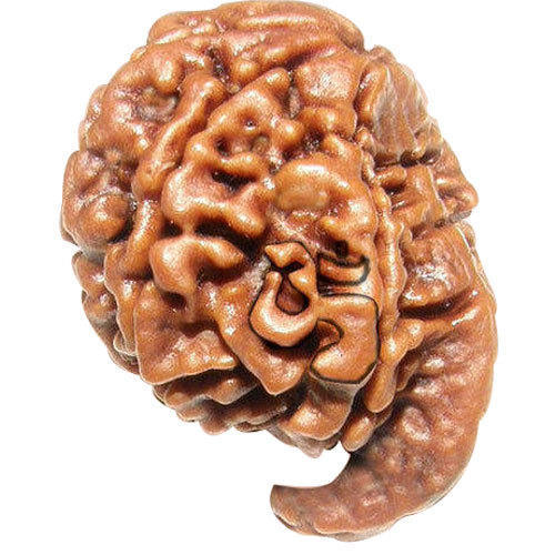 Ganesha Rudraksha