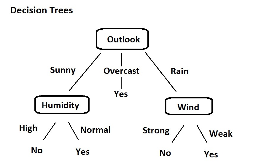 Decision Trees in data mining