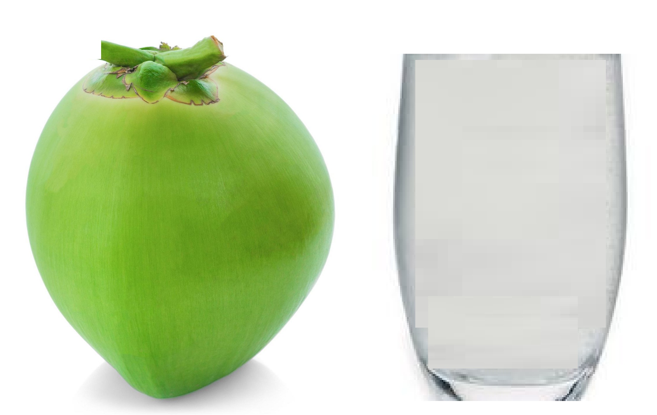 Coconut water Juice