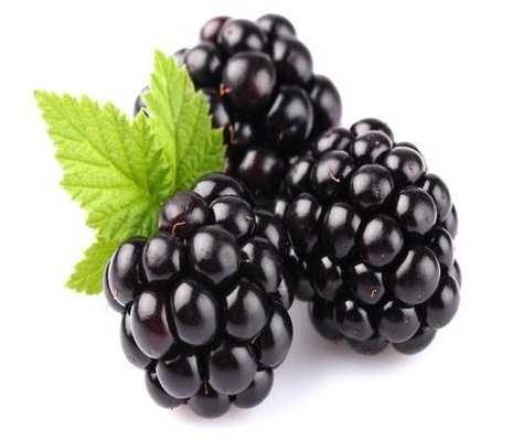 Blackberries