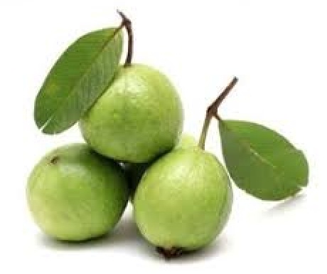 Guava