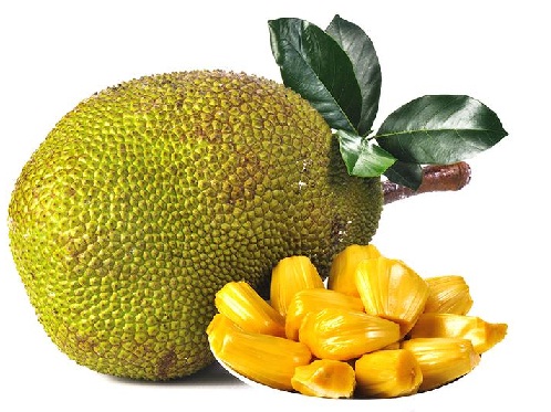 Jackfruit