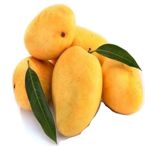 BadamiMangoes