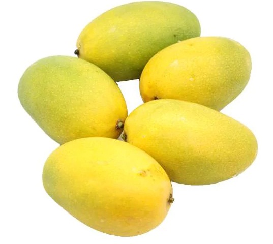 DasheriMangoes