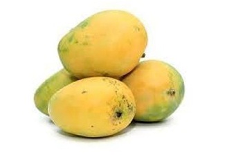 HimsagarandKishanBhogMangoes