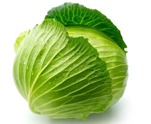 Cabbage