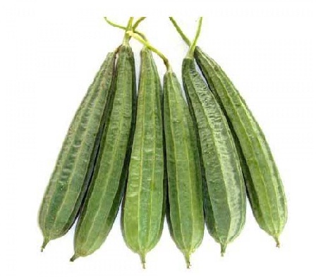 Ridgegourd