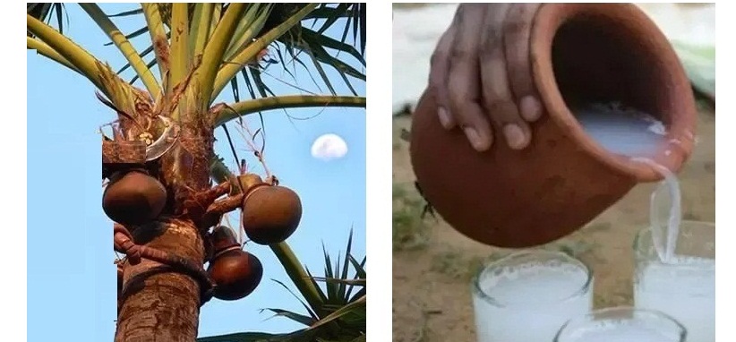 Palm wine