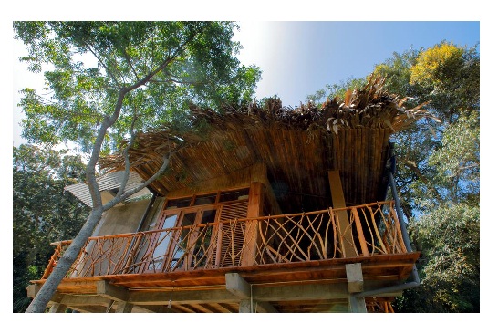 TreeHouse