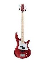 Bassguitar