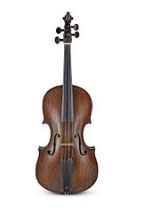 Viola