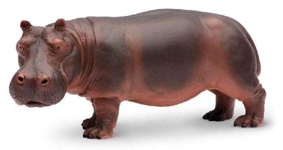 Hippo