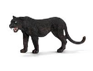 Panther